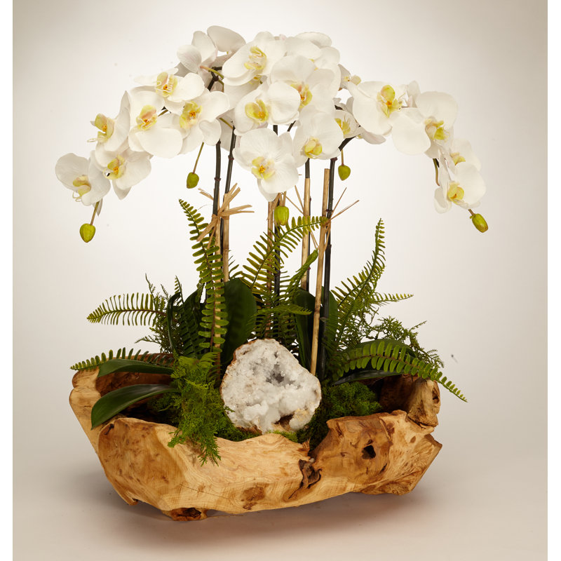 Orchid with White Geode Centerpiece in Wood Bowl & Reviews